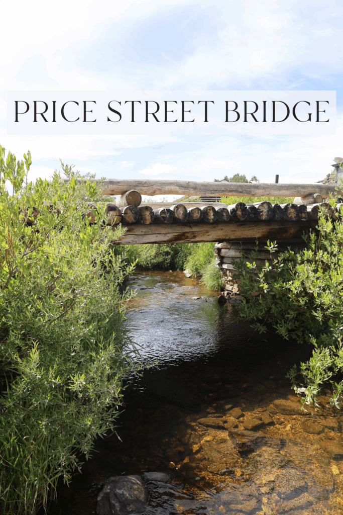 Price Street Bridge South Pass City