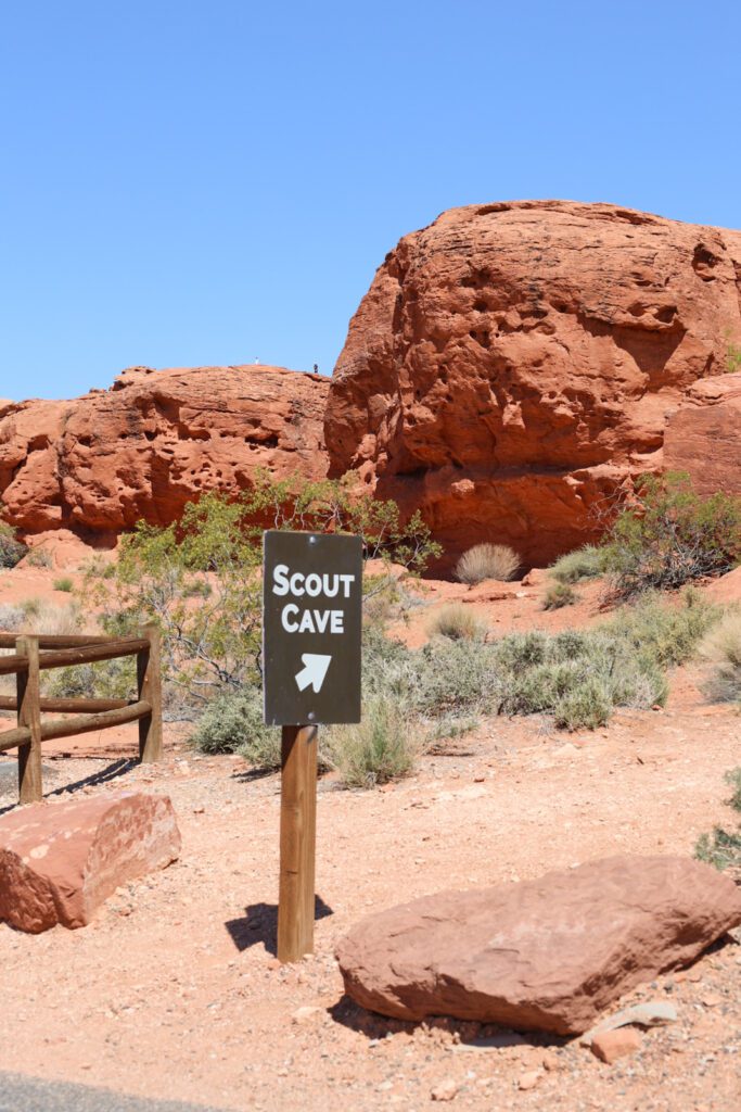 scout cove st george